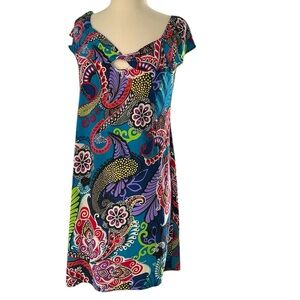 Uncle Frank Colorful Paisley Dress
